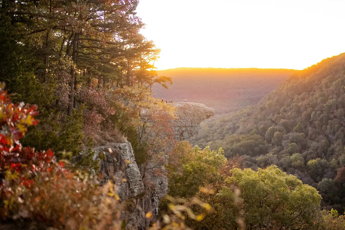 Scenic view of a valley with trees and cliffs at sunset.